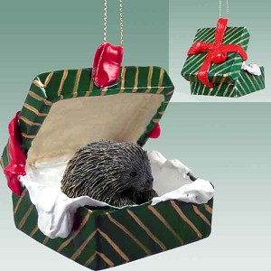 Porcupine in Green Gift Box Christmas Ornament – Hand-Painted Stone Resin