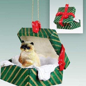 Green Gift Box Ragdoll Cat in Green Gift Box Christmas Ornament – Hand-Painted Stone Resin