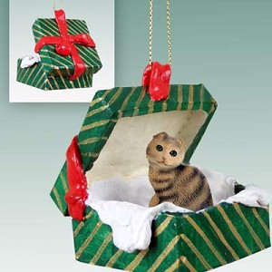 Brown Tabby Scottish Fold Cat in Green Gift Box Christmas Ornament – Hand-Painted Stone Resin