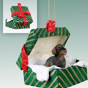 Wirehaired Red Dachshund Dog in Green Gift Box Christmas Ornament – Hand-Painted Stone Resin