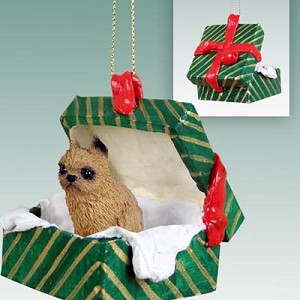 Red Brussels Griffon Dog in Green Gift Box Christmas Ornament – Hand-Painted Stone Resin