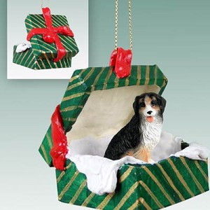 Bernese Mountain Dog in Green Gift Box Christmas Ornament – Hand-Painted Stone Resin