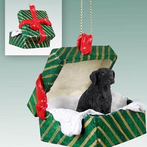 Flat Coated Retriever Dog in Green Gift Box Christmas Ornament – Hand-Painted Stone Resin