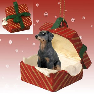 Black Uncropped Ears Doberman Pinscher Dog in Red Gift Box Christmas Ornament