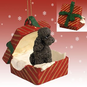 Chocolate Sport Cut Poodle Dog in Red Gift Box Christmas Ornament – Hand-Painted Stone Resin