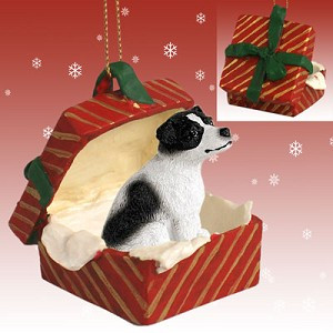 Black & White Smooth Coat Jack Russell Terrier Dog in Red Gift Box Christmas Ornament