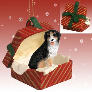 Red Gift Box Bernese Mountain Dog in Red Gift Box Christmas Ornament – Hand-Painted Stone Resin