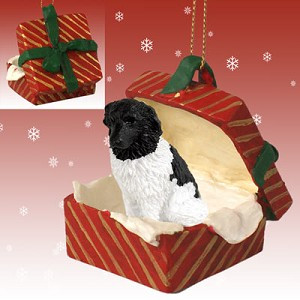 Red Landseer Dog in Red Gift Box Christmas Ornament – Hand-Painted Stone Resin