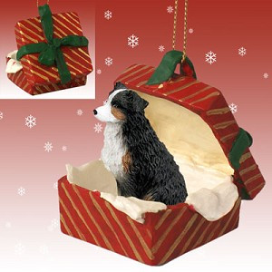 Tricolor with Docked Tail Australian Shepherd Dog in Red Gift Box Christmas Ornament