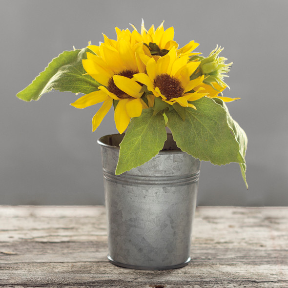 Small Metal Gardening Bucket Vase With Artificial Sunflowers 7x8 from Primitives by Kathy