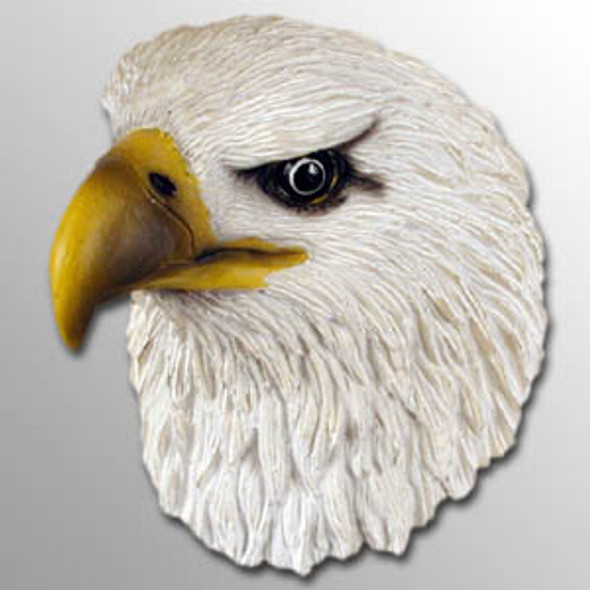 Hand Painted Bird Refrigerator Magnet - Bald Eagle From Conversation Concepts