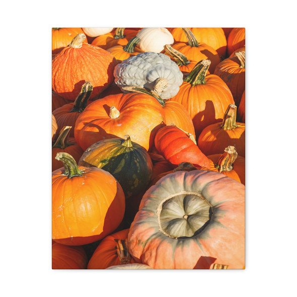 Pumpkin Harvest Showcase, Seasonal Produce Palette - Unframed Canvas Wall Art Decor 16″ x 20″ (Vertical)/1.25"