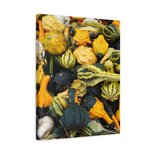 Decorative Gourds in Natural Splendor, Seasonal Organic Diversity - Unframed Canvas Wall Art Decor 16″ x 20″ (Vertical)/1.25"