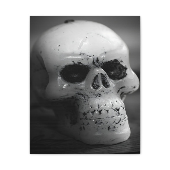 Monochromatic Skull Study, High-Contrast Ceramic Anatomical Portrait - Unframed Canvas Wall Art Decor 16″ x 20″ (Vertical)/1.25"