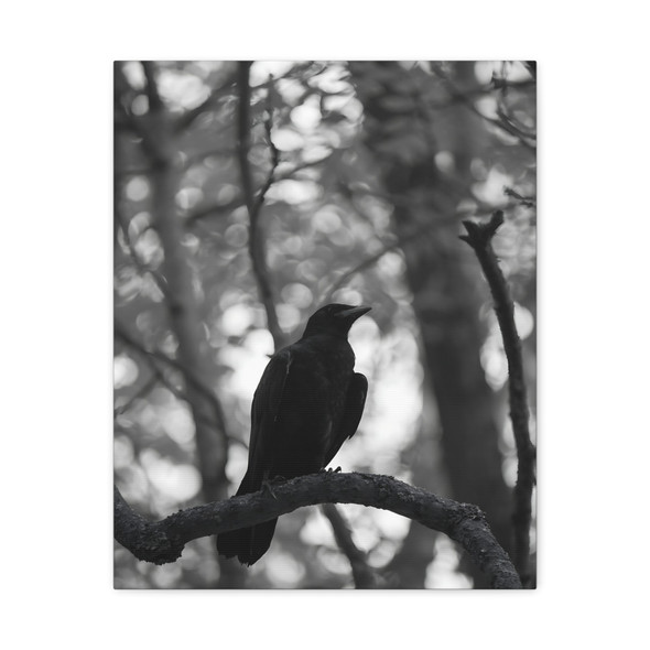 Black and White Wildlife Photography, Blackbird Silhouette - Unframed Canvas Wall Art Decor 16″ x 20″ (Vertical)/1.25"