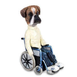 Brindle Boxer Uncropped Ears Wheelchair Doogie Collectible Dog Figurine