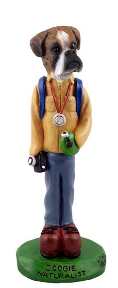 Brindle Boxer Uncropped Ears Naturalist Doogie Collectible Dog Figurine