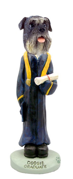 Gray Schnauzer Uncropped Ears Graduate Doogie Collectible Dog Figurine