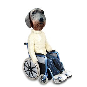 Wirehaired Dachshund Wheelchair Doogie Collectible Dog Figurine