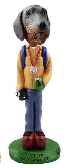 Wirehaired Dachshund Naturalist Doogie Collectible Dog Figurine