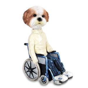 Tan Shih Tzu with Sport Cut Wheelchair Doogie Collectible Dog Figurine