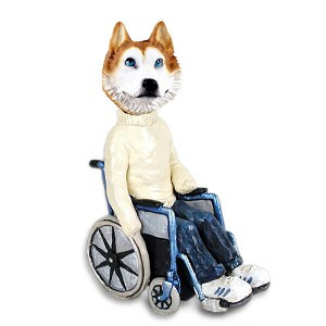 Red & White with Blue Eyes Husky Wheelchair Doogie Collectible Dog Figurine