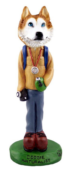 Red & White with Blue Eyes Husky Naturalist Doogie Collectible Dog Figurine