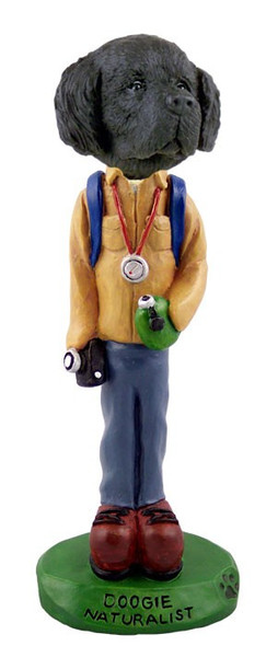 Newfoundland Naturalist Doogie Collectible Dog Figurine