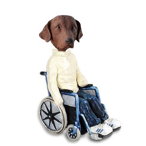 Chesapeake Bay Retriever Wheelchair Doogie Collectible Dog Figurine