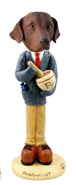 Chesapeake Bay Retriever Pharmacist Doogie Collectible Dog Figurine
