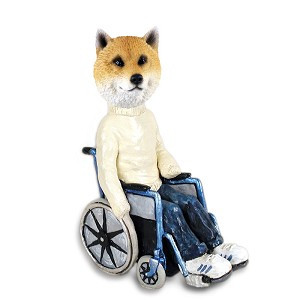Shiba Inu Wheelchair Doogie Collectible Dog Figurine