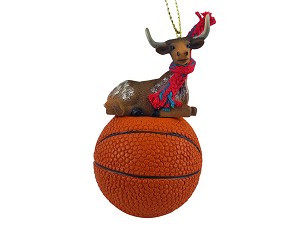 Basketball Longhorn Steer on Basketball Hanging Ornament – Hand-Painted Stone Resin