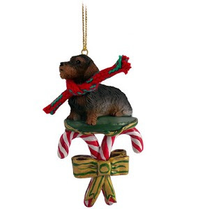 Wirehaired Red Dachshund Dog with Candy Canes Christmas Ornament – Hand-Painted Stone Resin