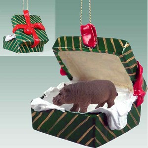 Hippopotamus in Green Gift Box Christmas Ornament – Hand-Painted Stone Resin