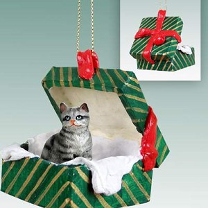 Silver Shorthaired Tabby Cat in Green Gift Box Christmas Ornament – Hand-Painted Stone Resin