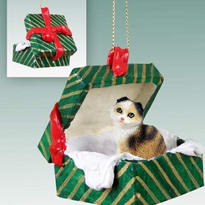 Tortoise & White Scottish Fold Cat in Green Gift Box Christmas Ornament – Hand-Painted Stone Resin