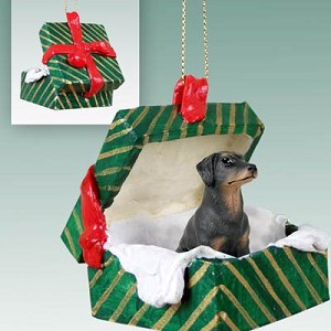 Black Uncropped Ears Doberman Pinscher Dog in Green Gift Box Christmas Ornament