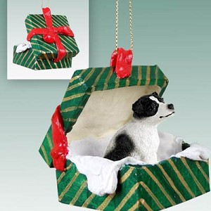 Black & White Smooth Coat Jack Russell Terrier Dog in Green Gift Box Christmas Ornament