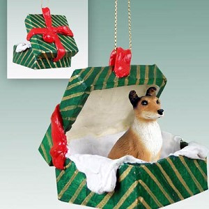 Smooth Coat Collie Dog in Green Gift Box Christmas Ornament – Hand-Painted Stone Resin