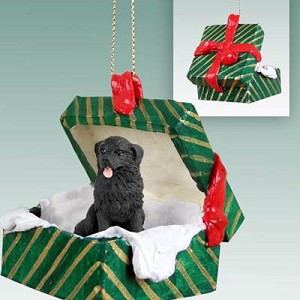 Newfoundland Dog in Green Gift Box Christmas Ornament – Hand-Painted Stone Resin
