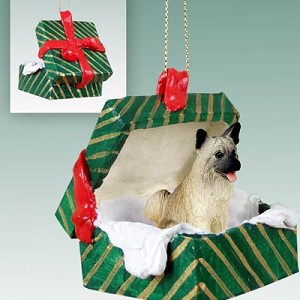 Fawn Akita Dog in Green Gift Box Christmas Ornament – Hand-Painted Stone Resin
