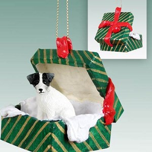 Black & White Rough Coat Jack Russell Terrier Dog in Green Gift Box Christmas Ornament