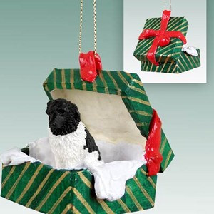 Green Landseer Dog in Green Gift Box Christmas Ornament – Hand-Painted Stone Resin