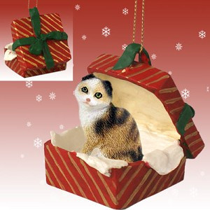 Tortoise & White Scottish Fold Cat in Red Gift Box Christmas Ornament – Hand-Painted Stone Resin