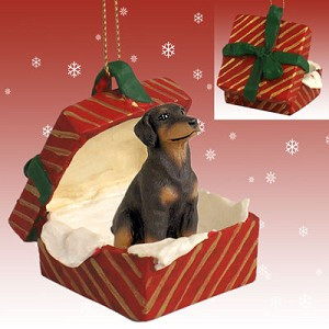 Red Uncropped Ears Doberman Pinscher Dog in Red Gift Box Christmas Ornament