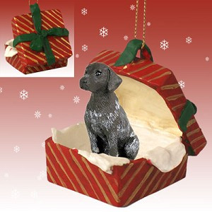 Red Gift Box German Shorthaired Pointer Dog in Red Gift Box Christmas Ornament