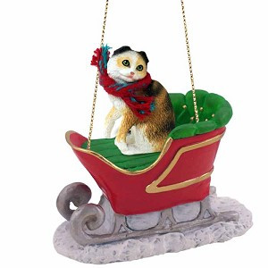 Tortoise & White Scottish Fold Cat in Sleigh Christmas Ornament – Hand-Painted Stone Resin