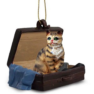 Brown Shorthaired Tabby Cat in Travel Suitcase Hanging Ornament – Hand-Painted Stone Resin