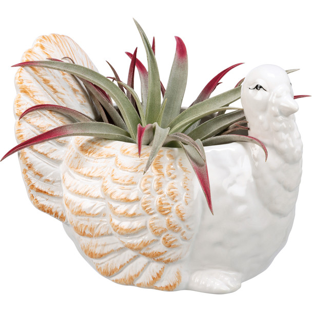 Decorative White Glaze Ceramic Planter - Turkey - 7.25 Inch - Fall & Harvest Collection from Primitives by Kathy