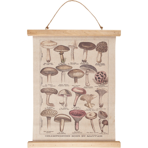 Decorative Hanging Wall Decor Canvas Sign - Mushroom Species 11.75 In x 15.75 In - Cottage Collection from Primitives by Kathy